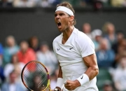 开云体育下载-包含温网绝杀拉沃尔杯，纳达尔点燃赛场的词条