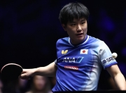 开云平台-关于瑞典队轻取日本队，张本智和扛起全队的信息