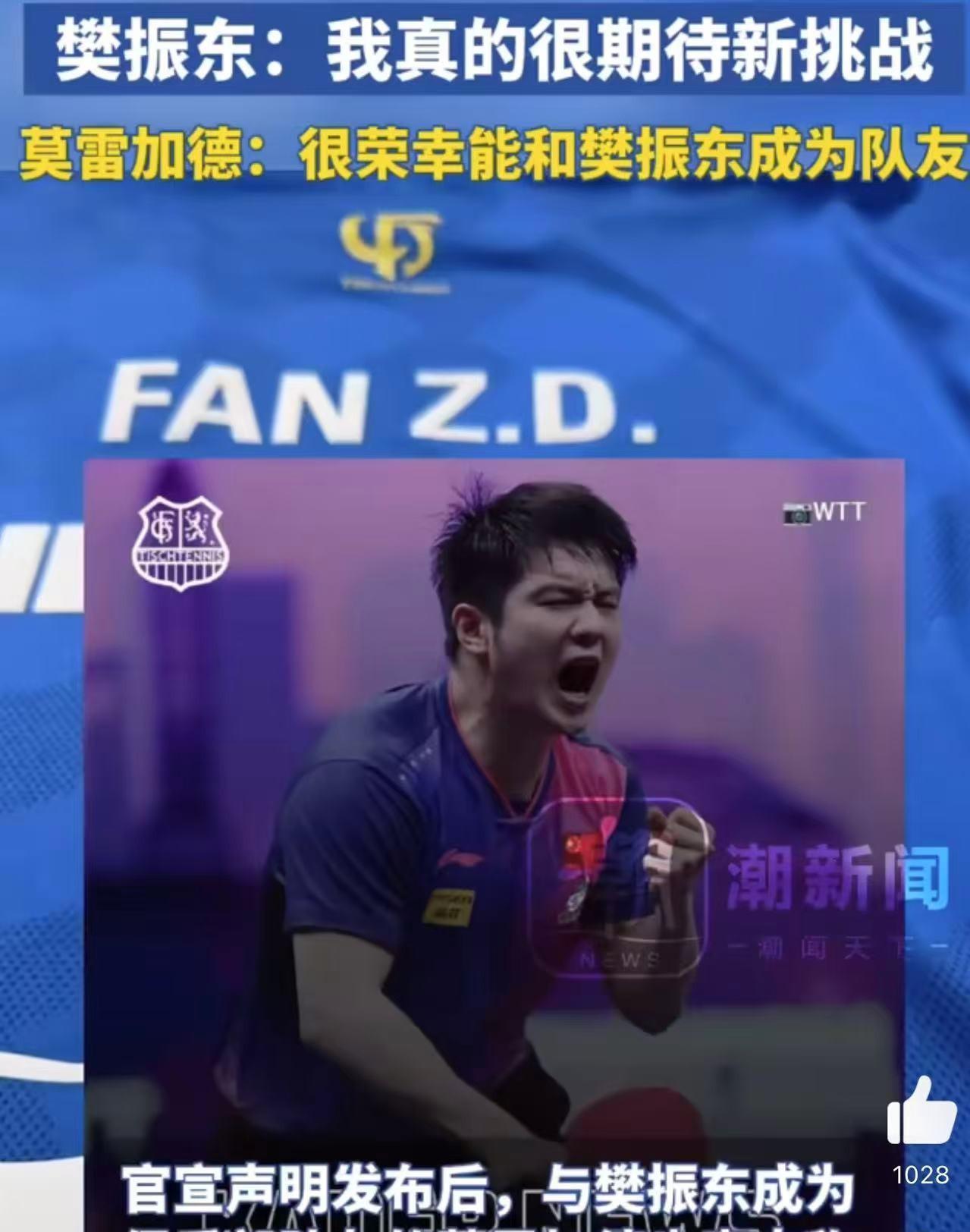 德国乒乓球队绝地反击韩国乒乓球队，樊振东爆发神勇的简单介绍