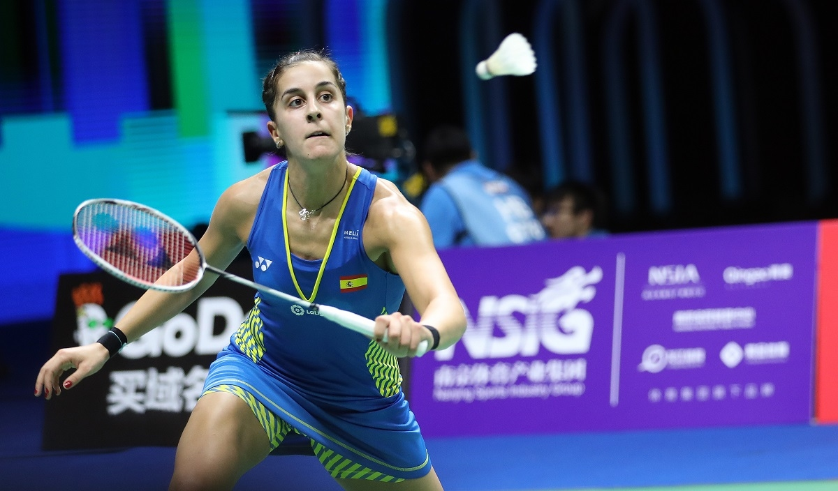 法国羽毛球队力克日本羽毛球队，马琳关键制胜的简单介绍