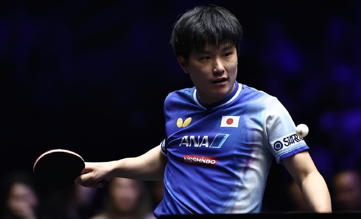 关于瑞典队轻取日本队，张本智和扛起全队的信息